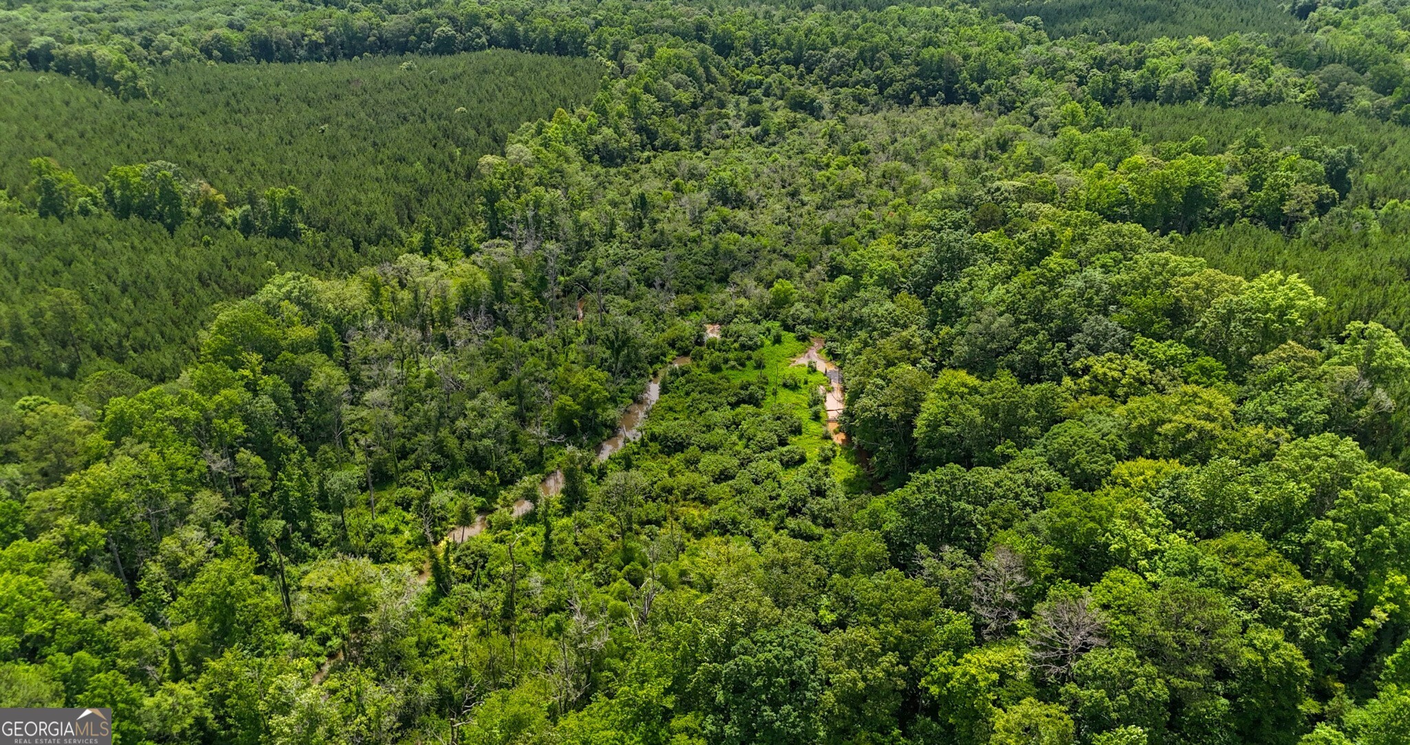 0 Noles Road Franklin, GA 30217 - Photo 12 of 21 a view of a lush green forest