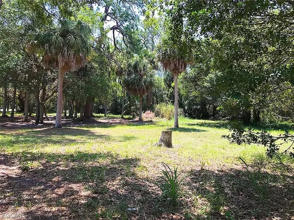 a view of swimming pool with trees