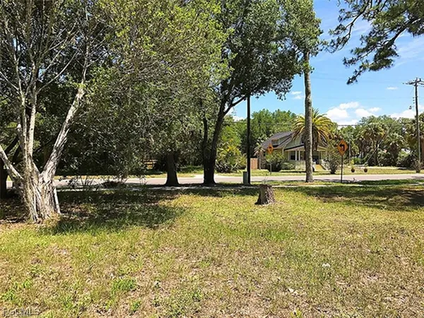 a view of yard with tree