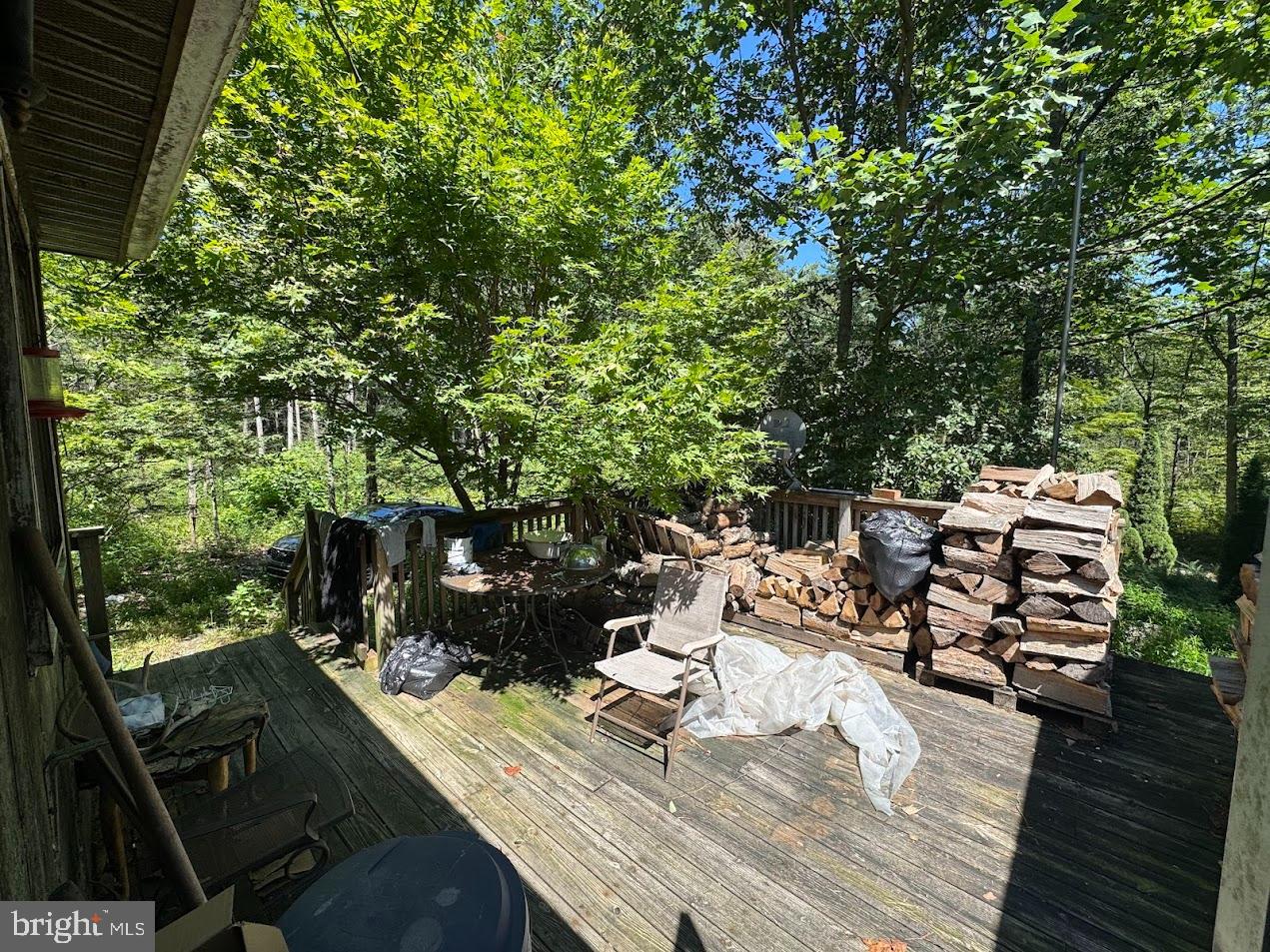 379 Orchard Road Orrtanna, PA 17353 - Photo 7 of 33 Serene woodland retreat with stacked firewood.