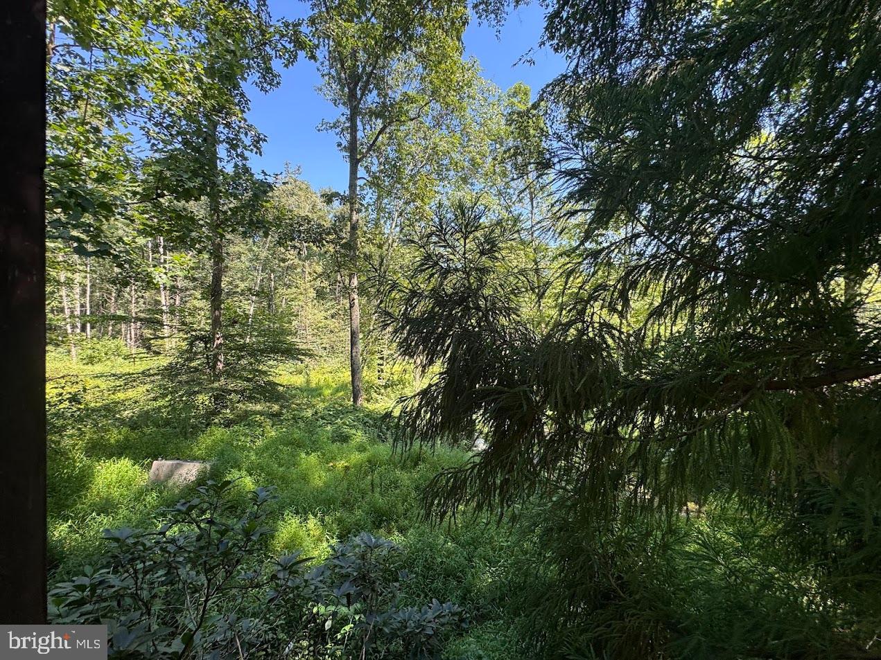 379 Orchard Road Orrtanna, PA 17353 - Photo 8 of 33 Lush greenery under a clear blue sky.