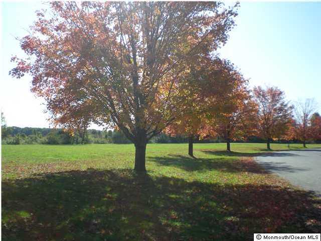 7 Mine Brook Road Colts Neck, NJ 07722 - Photo 1 of 10 a view of grassy field with trees