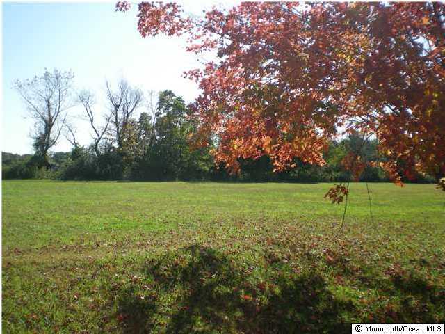 7 Mine Brook Road Colts Neck, NJ 07722 - Photo 2 of 10 a view of a garden with a tree