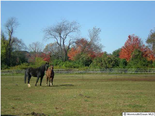 7 Mine Brook Road Colts Neck, NJ 07722 - Photo 4 of 10 a view of a lake with a yard