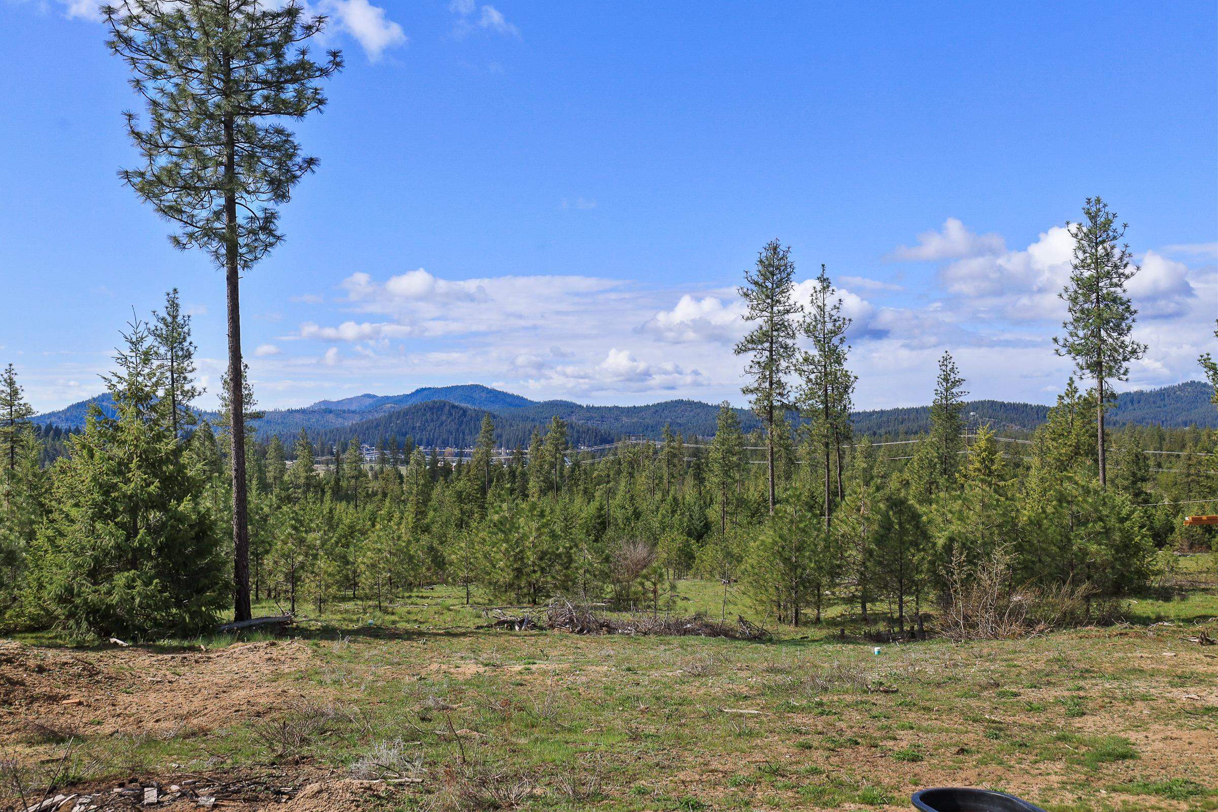 3977 D Gardenspot Road Loon Lake, WA 99148 - Photo 23 of 33 Gallery Image 23