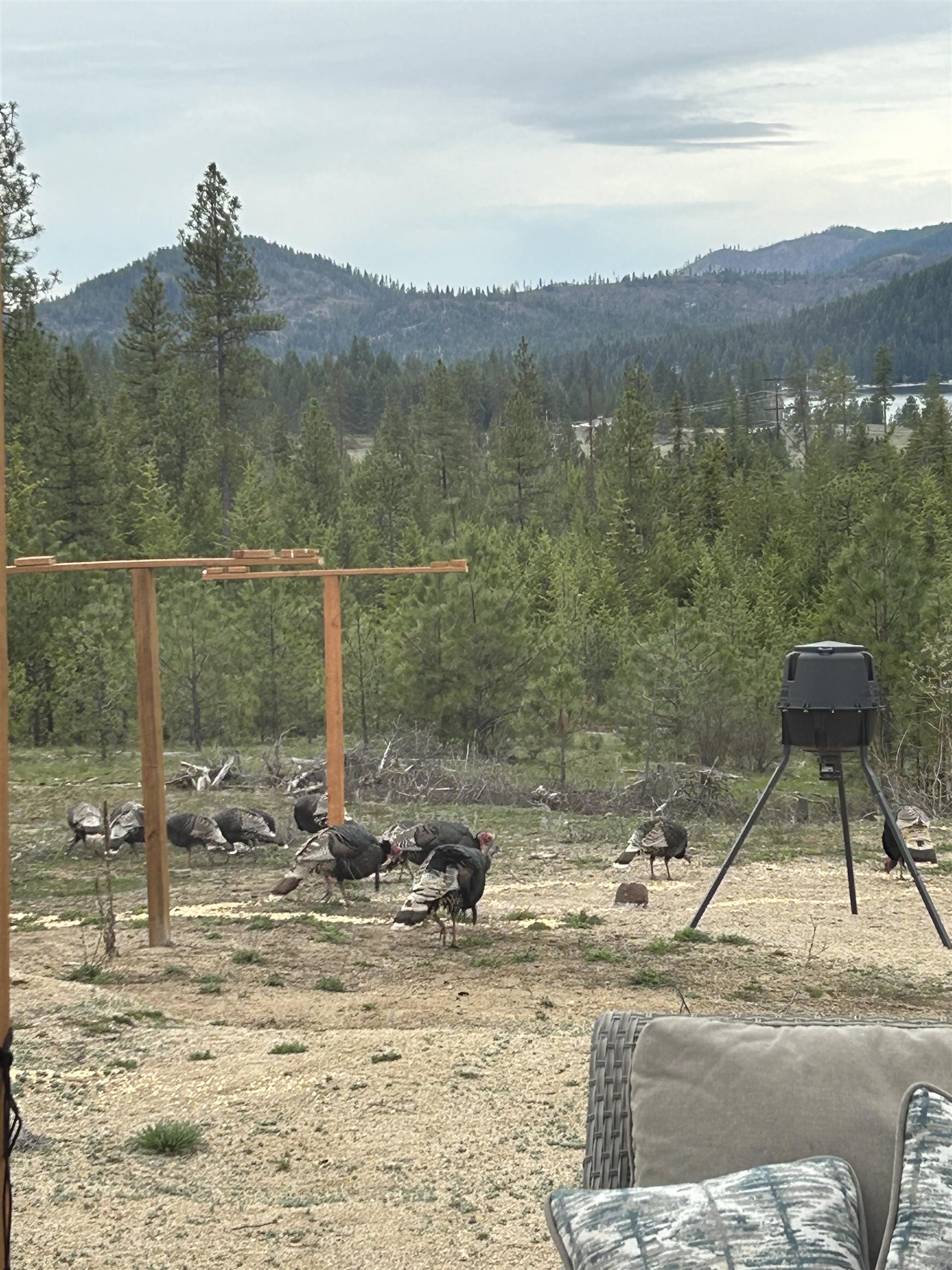 3977 D Gardenspot Road Loon Lake, WA 99148 - Photo 32 of 33 Gallery Image 32
