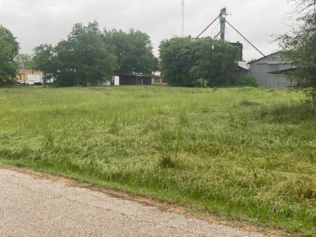 Undisclosed Address Lexington, TX 78947 - Photo 1 of 1 a backyard of a house with lots of green space