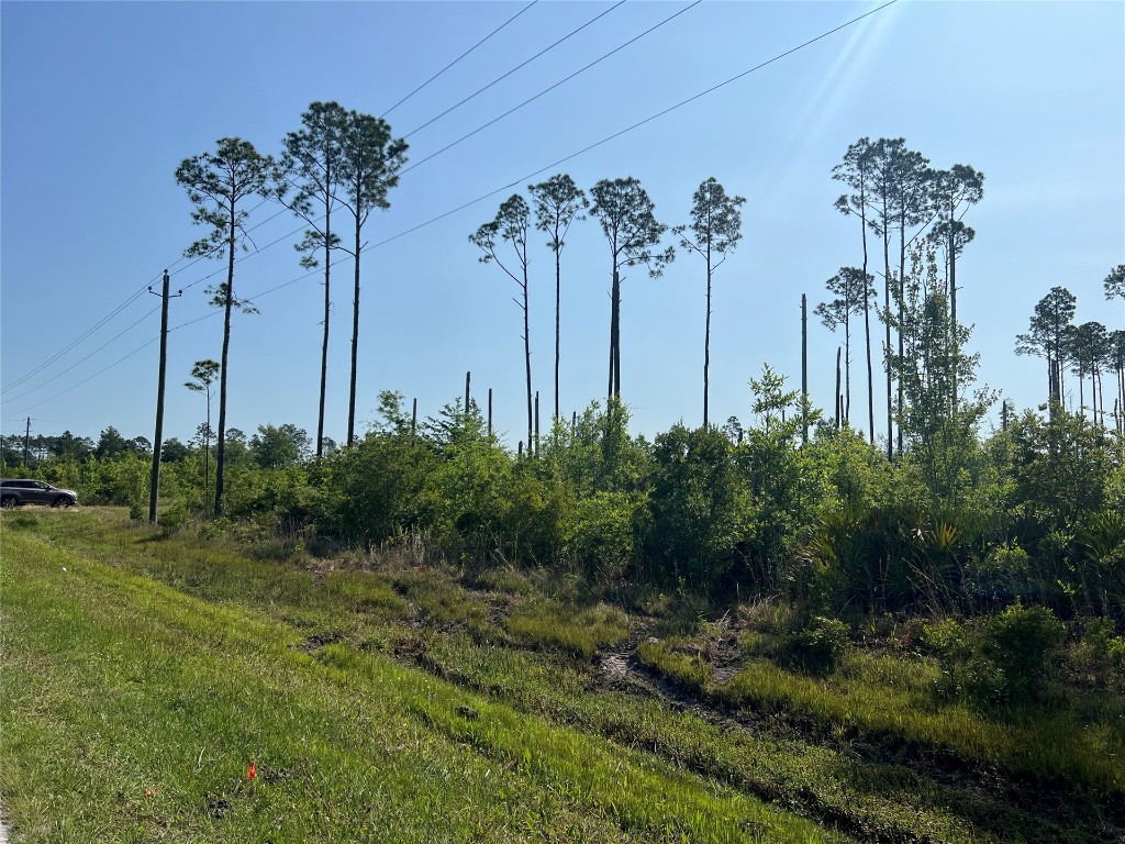 0 County Road 121 Road Jacksonville, FL 32234 - Photo 1 of 16 Gallery Image 1