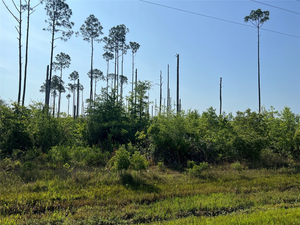 0 County Road 121 Road Jacksonville, FL 32234 - Photo 2 of 16 Gallery Image 2