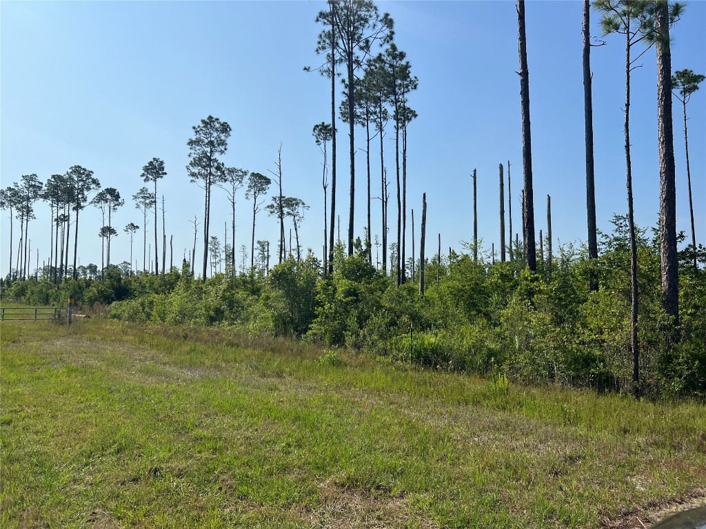 0 County Road 121 Road Jacksonville, FL 32234 - Photo 3 of 16 Gallery Image 3