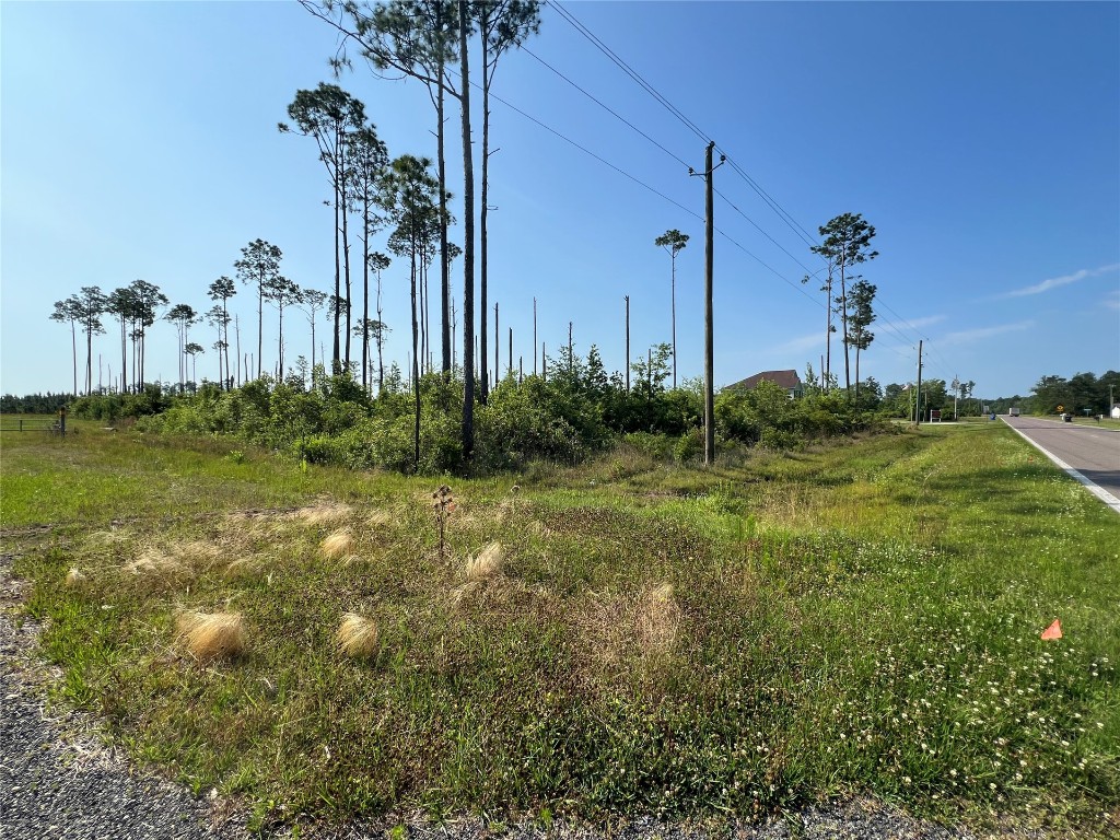 0 County Road 121 Road Jacksonville, FL 32234 - Photo 4 of 16 Gallery Image 4