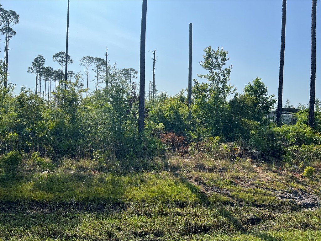 0 County Road 121 Road Jacksonville, FL 32234 - Photo 6 of 16 Gallery Image 6