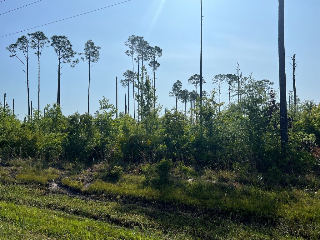 0 County Road 121 Road Jacksonville, FL 32234 - Photo 7 of 16 Gallery Image 7