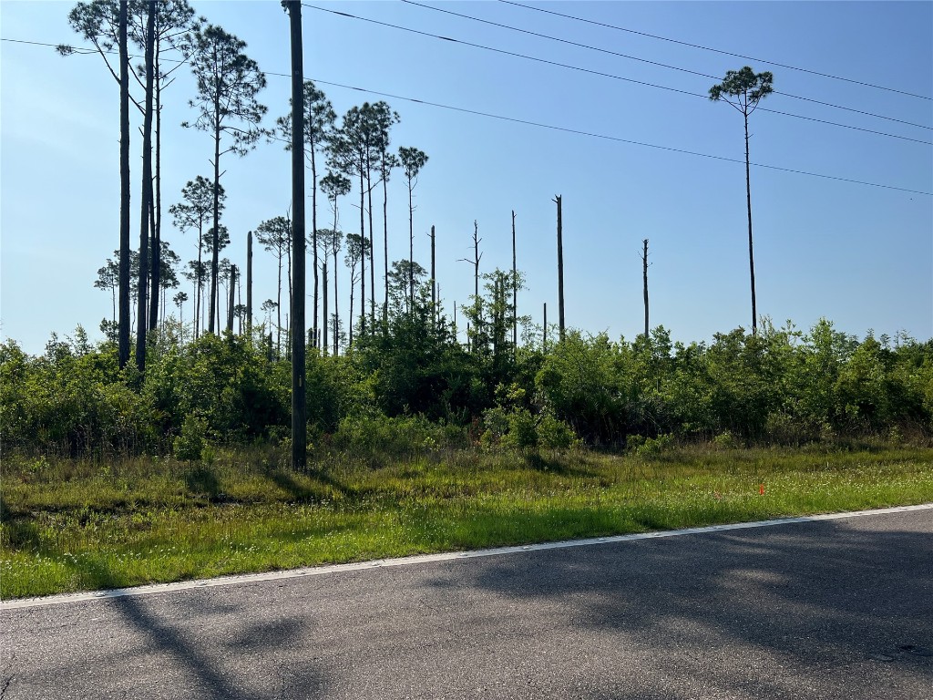 0 County Road 121 Road Jacksonville, FL 32234 - Photo 8 of 16 Gallery Image 8
