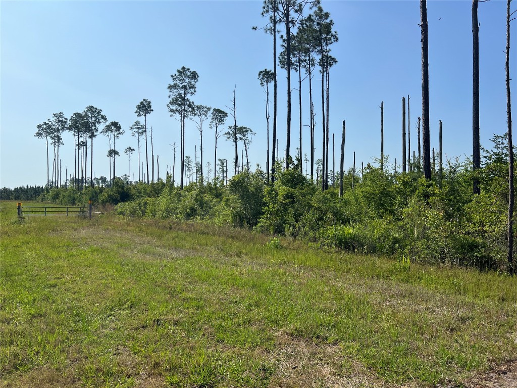 0 County Road 121 Road Jacksonville, FL 32234 - Photo 9 of 16 Gallery Image 9