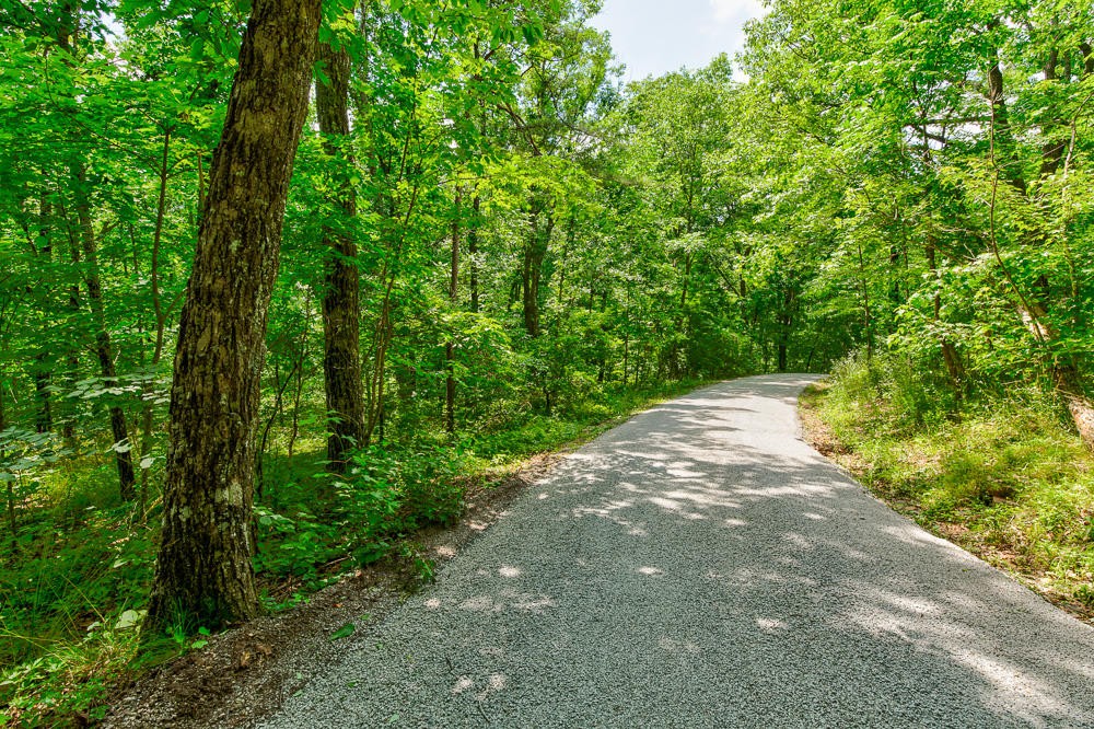 0 Walden View Road Signal Mountain, TN 37377 - Photo 3 of 7 Gallery Image 3