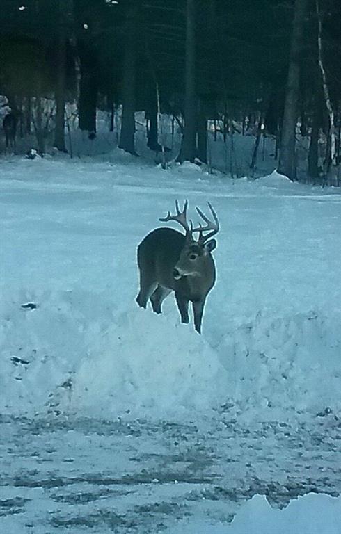 64 Lander Farm Road Stratton, ME 04982 - Photo 29 of 31 Photo