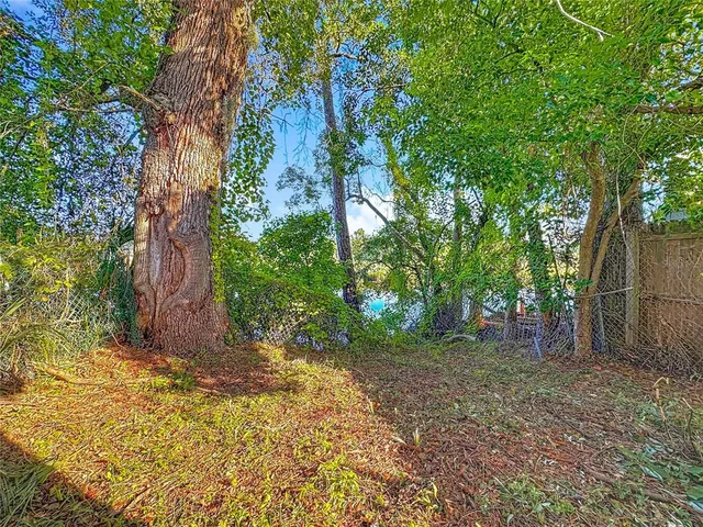 a view of backyard with green space