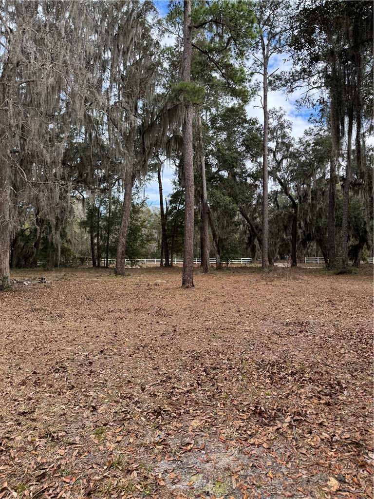 1048 Northeast Sapelo Garden Road Townsend, GA 31331 - Photo 4 of 7