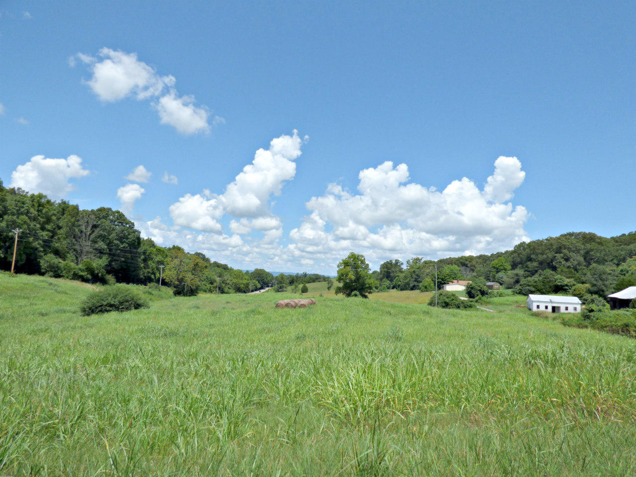 Lot 9 Collins Road New Market, TN 37820 - Photo 5 of 8 P1130567