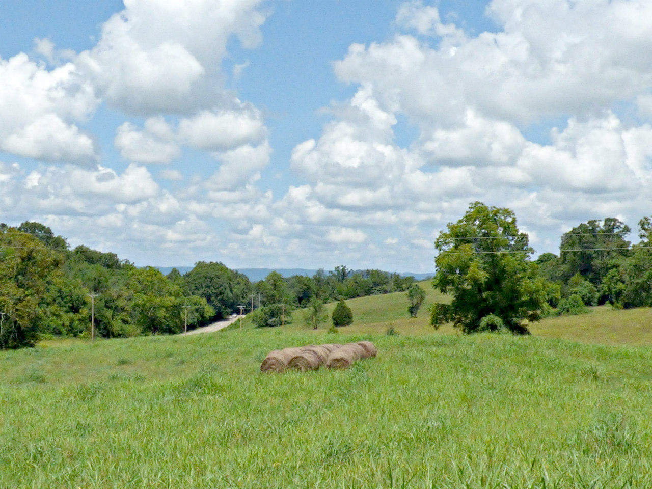 Lot 9 Collins Road New Market, TN 37820 - Photo 6 of 8 P1130568