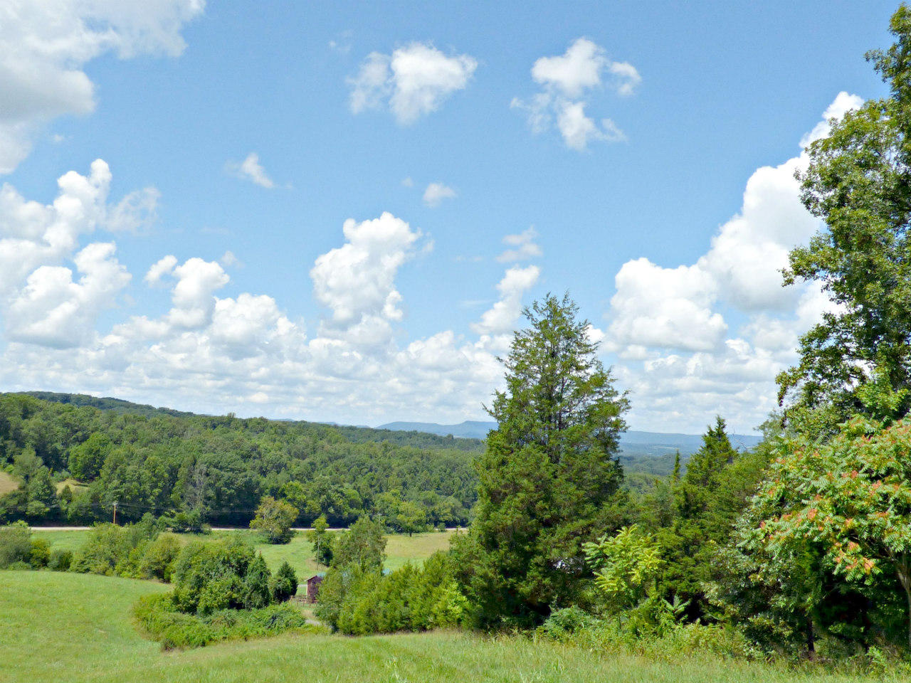 Lot 9 Collins Road New Market, TN 37820 - Photo 7 of 8 P1130569