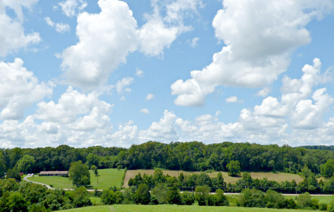 Lot 9 Collins Road New Market, TN 37820 - Photo 8 of 8 P1130570