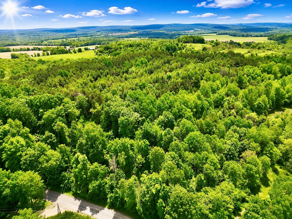 0 Blairs Corner Road Emlenton, PA 16373 - Photo 20 of 24