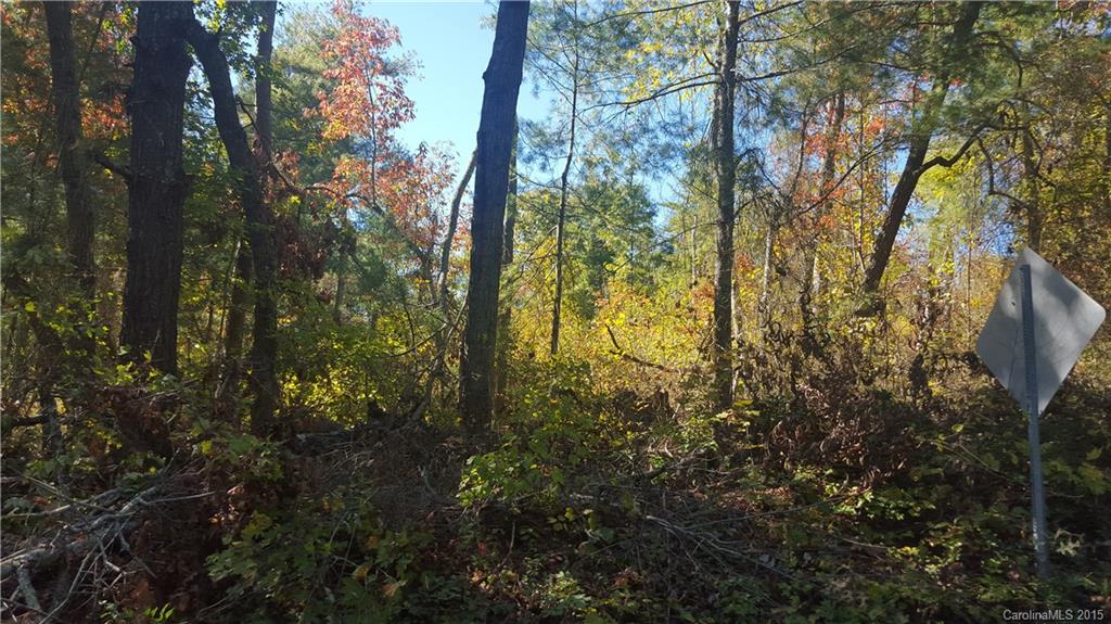 0 Concord Road Southeast Fletcher, NC 28732 - Photo 1 of 3 Gallery Image 1