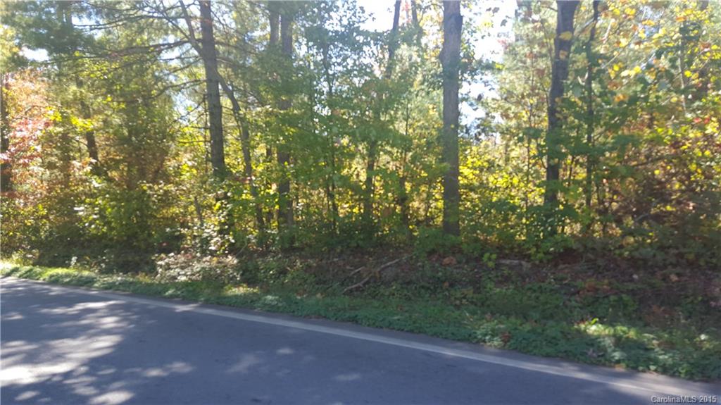 0 Concord Road Southeast Fletcher, NC 28732 - Photo 2 of 3 Gallery Image 2