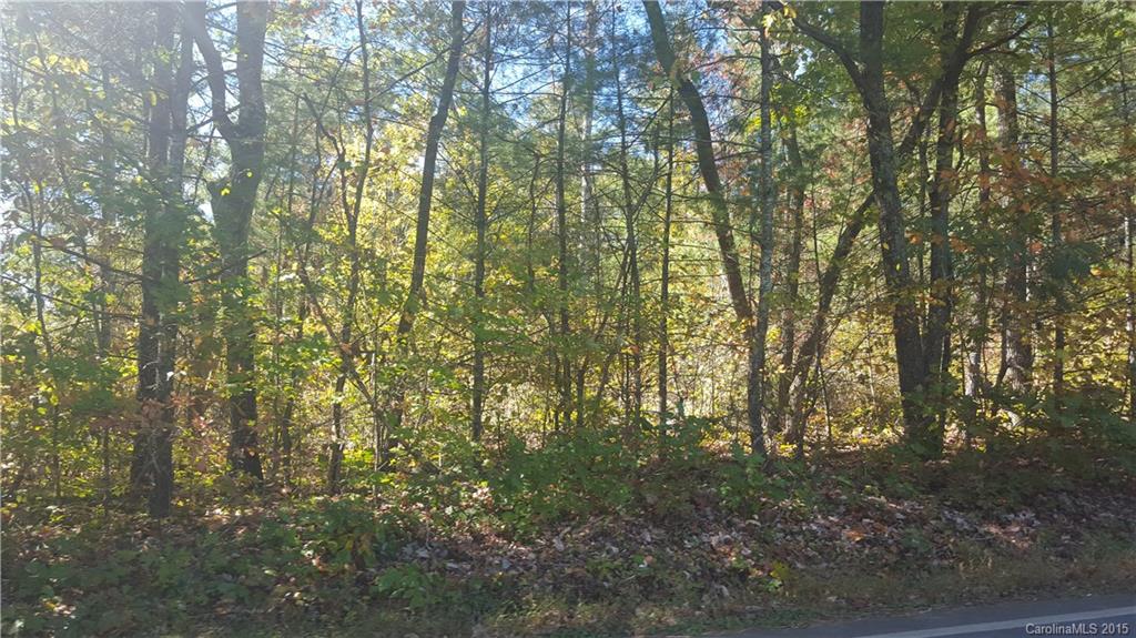 0 Concord Road Southeast Fletcher, NC 28732 - Photo 3 of 3 Gallery Image 3