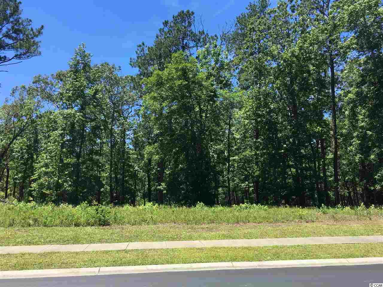 179 Chamberlin Road Myrtle Beach, SC 29588 - Photo 2 of 7 Gallery Image 2