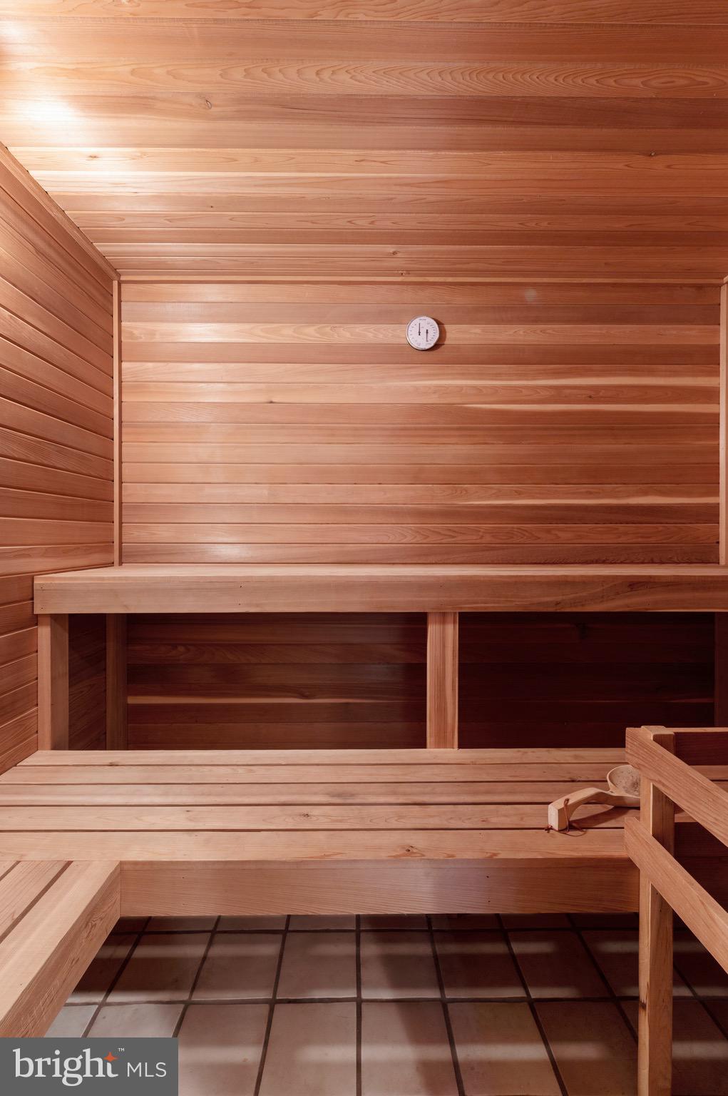 260 Ravenscliff Road Wayne, PA 19087 - Photo 36 of 51 Sauna