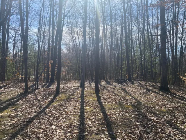 $49,000 | 9019 John Street, Mecosta, MI 49332