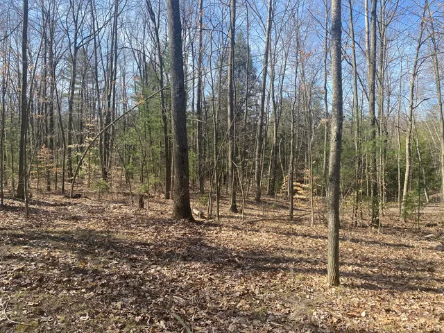 $49,000 | 9019 John Street, Mecosta, MI 49332