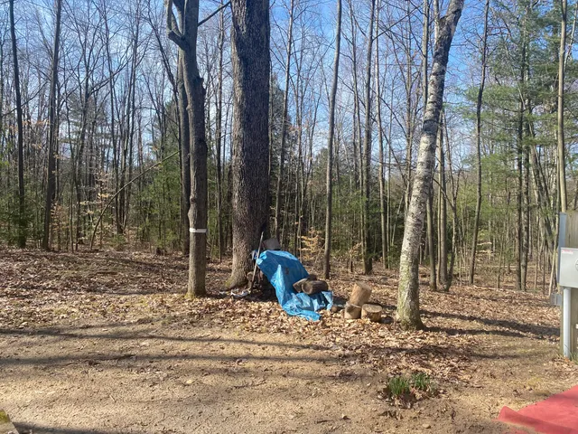 $49,000 | 9019 John Street, Mecosta, MI 49332