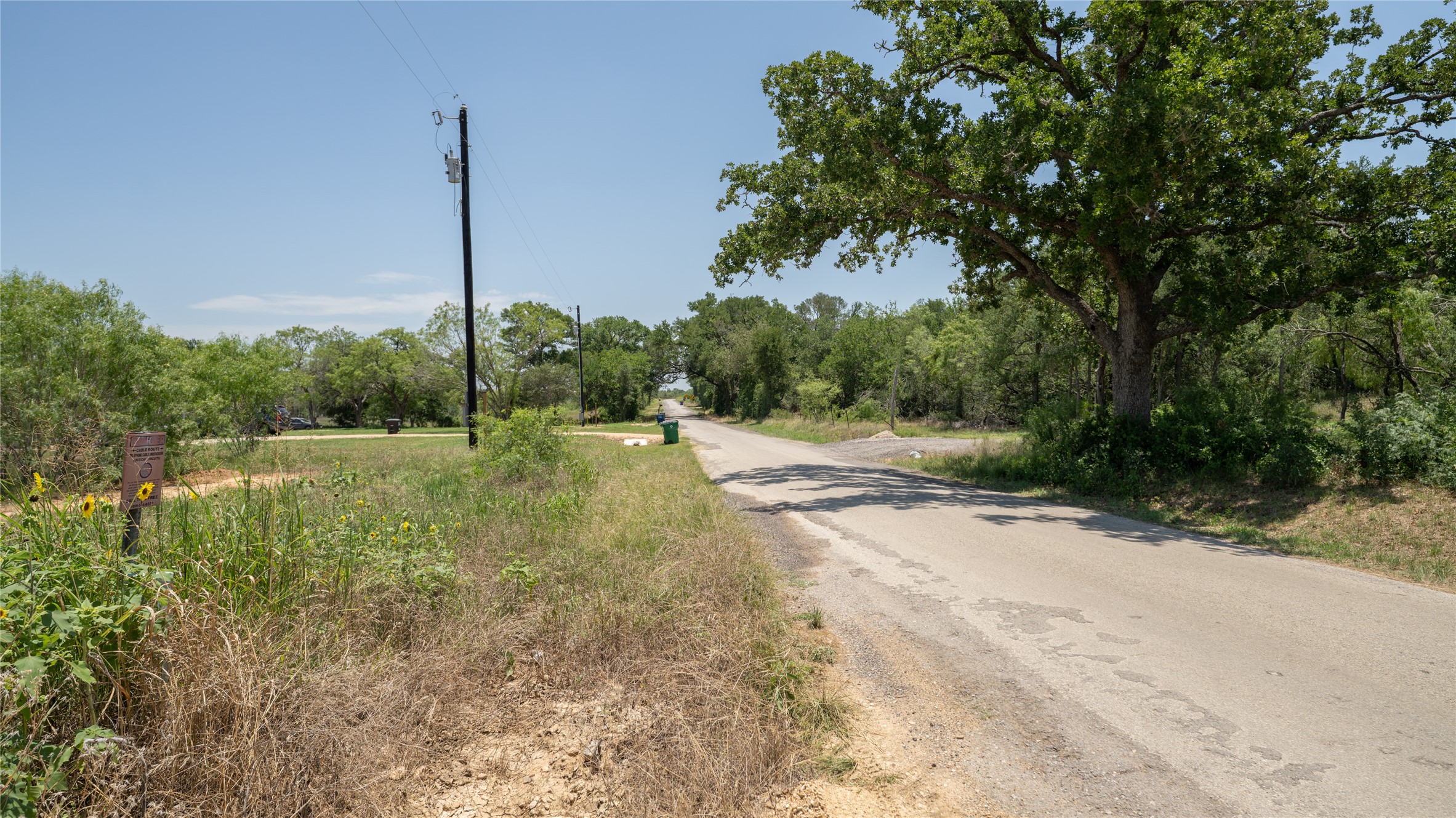 1145 Callihan Road Luling, TX 78648 - Photo 7 of 39 View of asphalt road featuring a forest view