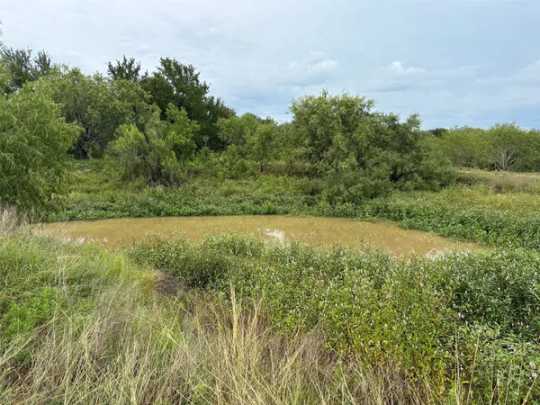 a view of a field of grass and trees