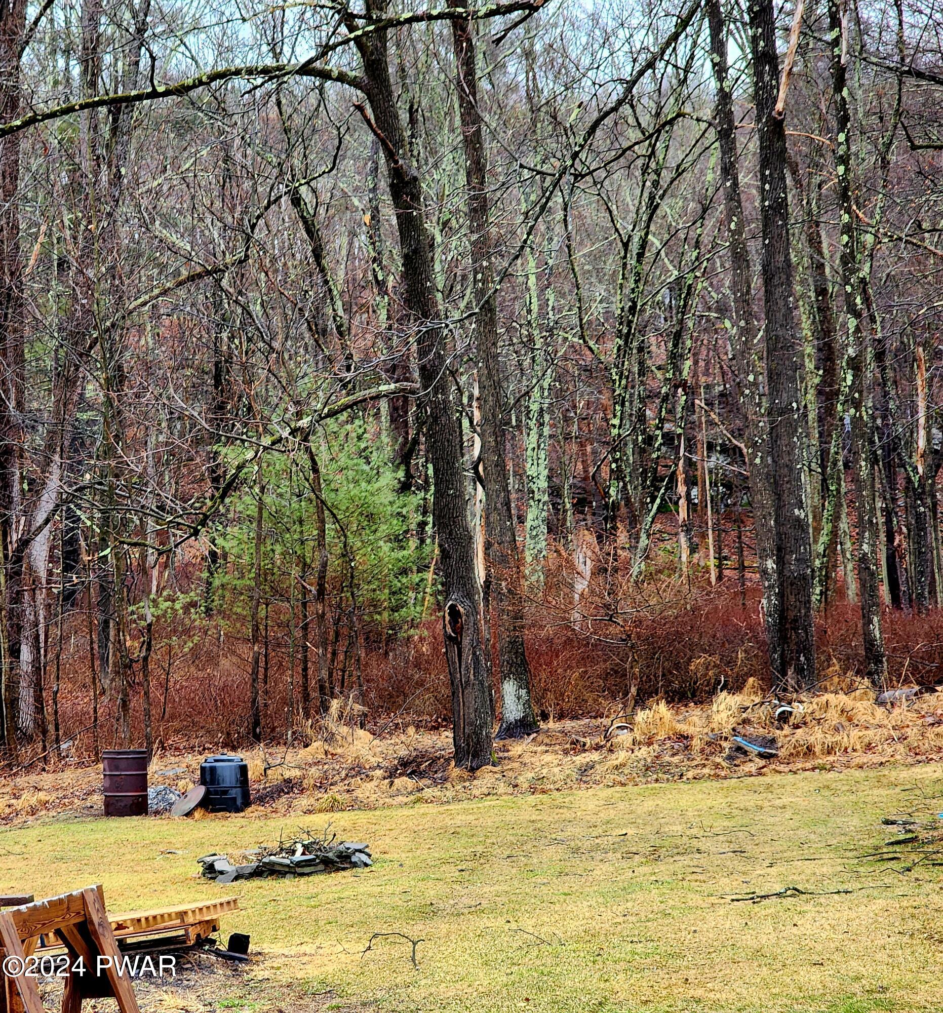 131 Kuhn Road Lackawaxen, PA 18435 - Photo 11 of 20 Backyard
