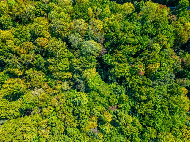 $199,900 | 648 Scattersville Road, Portland, TN 37148