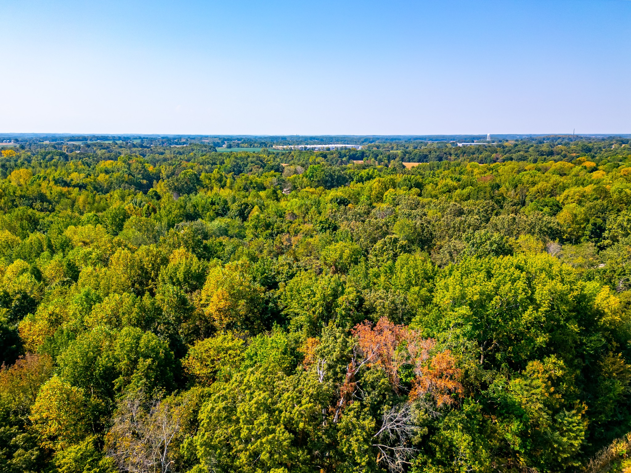 648 Scattersville Road Portland, TN 37148 - Photo 9 of 13 an aerial view of a houses with a yard