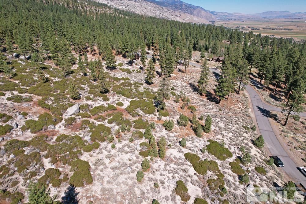 168 Five Creek Road, Unit 3 Gardnerville, NV 89460 - Photo 12 of 21 a view of a green field