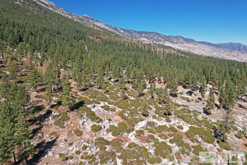 168 Five Creek Road, Unit 3 Gardnerville, NV 89460 - Photo 13 of 21 a view of a lush green field with mountains in the background