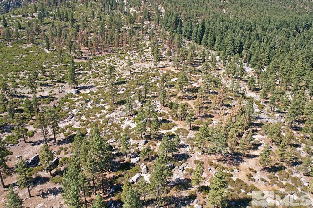 168 Five Creek Road, Unit 3 Gardnerville, NV 89460 - Photo 15 of 21 a view of a yard with a tree