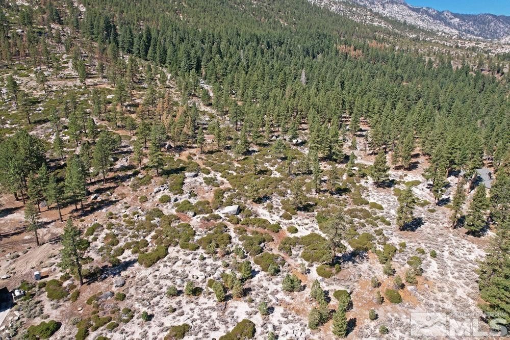 168 Five Creek Road, Unit 3 Gardnerville, NV 89460 - Photo 16 of 21 a view of a yard with a tree
