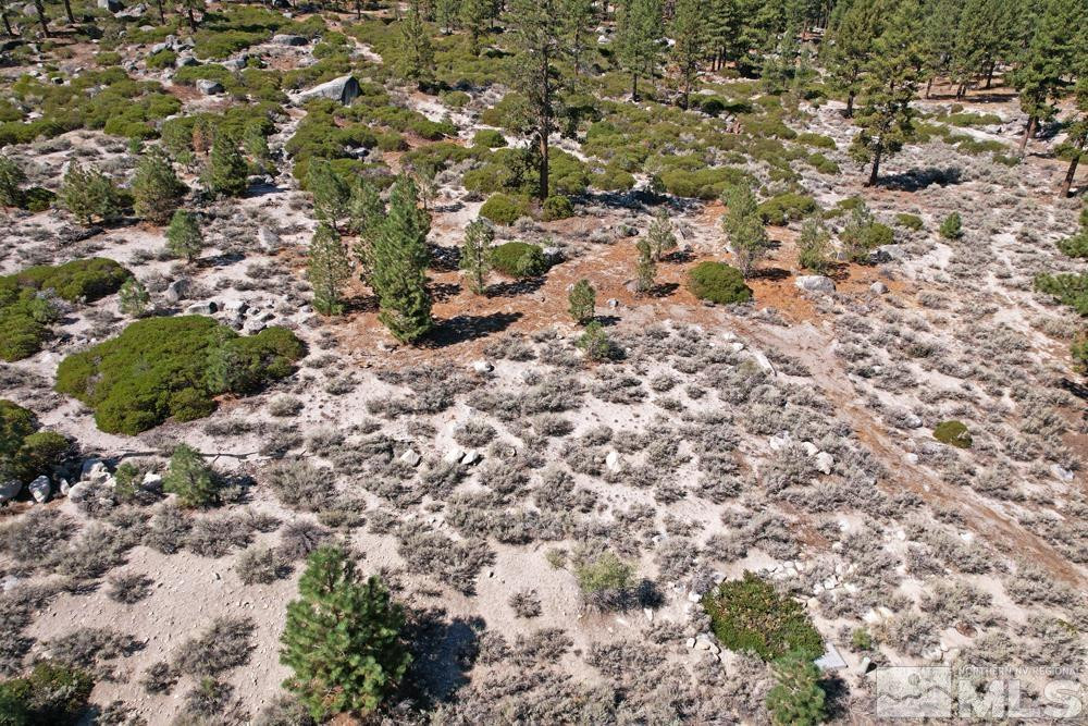 168 Five Creek Road, Unit 3 Gardnerville, NV 89460 - Photo 20 of 21