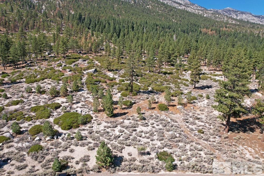 168 Five Creek Road, Unit 3 Gardnerville, NV 89460 - Photo 21 of 21 a view of a yard with trees