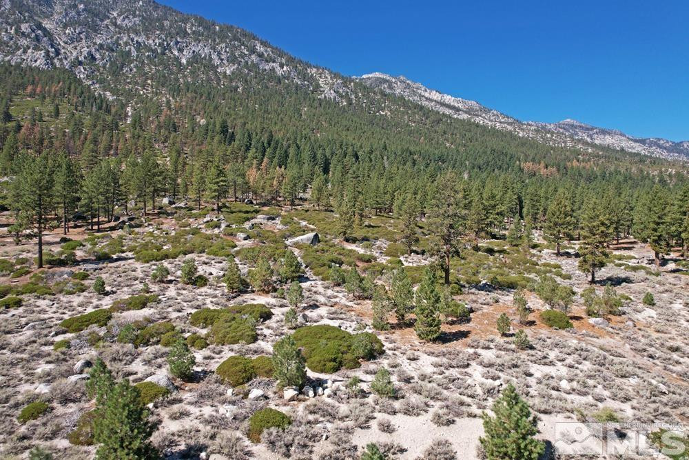 168 Five Creek Road, Unit 3 Gardnerville, NV 89460 - Photo 3 of 21 a view of a forest with mountains in the background