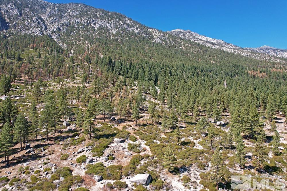 168 Five Creek Road, Unit 3 Gardnerville, NV 89460 - Photo 5 of 21 a view of a field