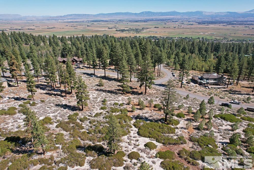 168 Five Creek Road, Unit 3 Gardnerville, NV 89460 - Photo 7 of 21 a view of a forest with a mountain